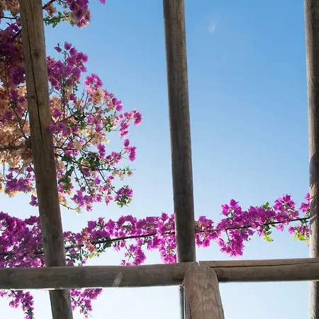 Вилла E & E Камари